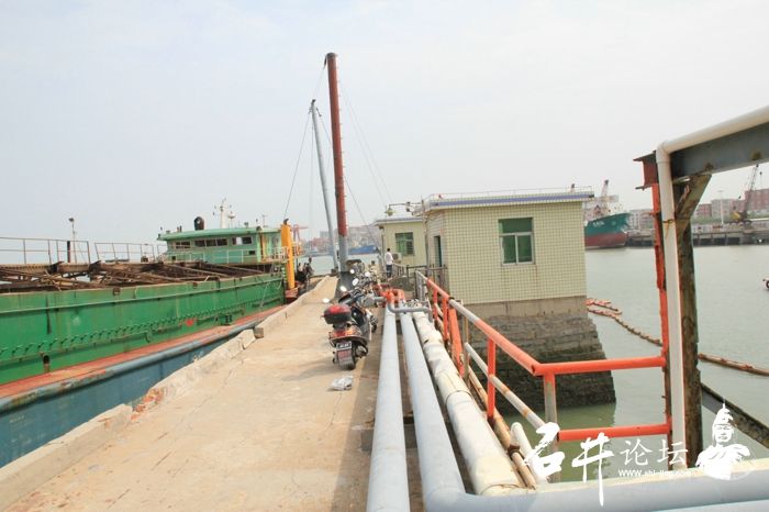 油库码头垂钓随拍 - 『石井生活』 - 石井论坛