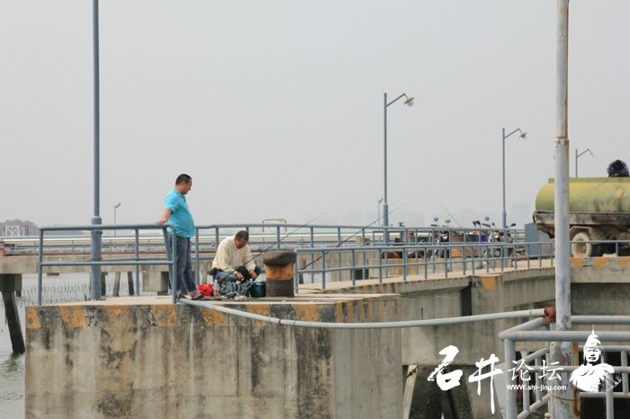 油库码头垂钓随拍 - 『石井生活』 - 石井论坛