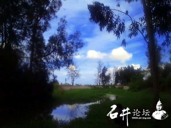 井石看图猜成语是什么成语_看图猜成语(3)