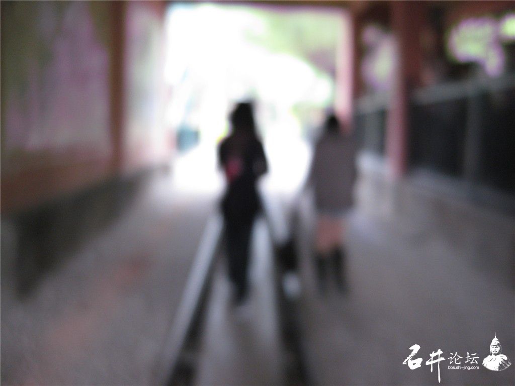 福建省内有那些地方比较好玩的。 - 『四摄五路