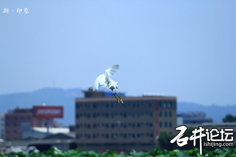 起飞.jpg
