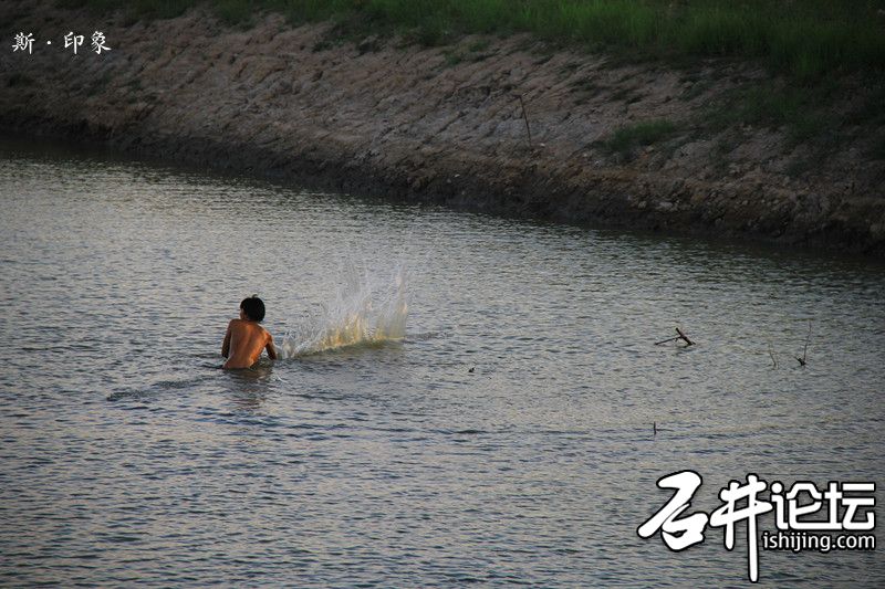 吓鱼.jpg
