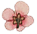 213021tixjwemojqwew11o.jpg