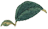 213022vg8f2kr5k5krkzll.jpg