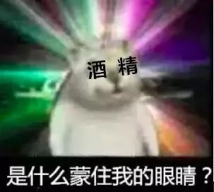 163019iiz888ngj88znm8b.jpeg