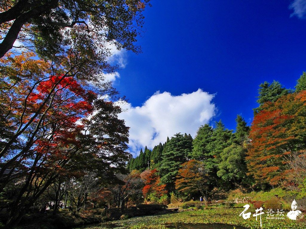 Japan_Rokkosan_autumn_scenery_1976.jpg
